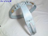 No-623 貞操帯風拘束具Ｎ（ストレート）（金具＝ニッケル）